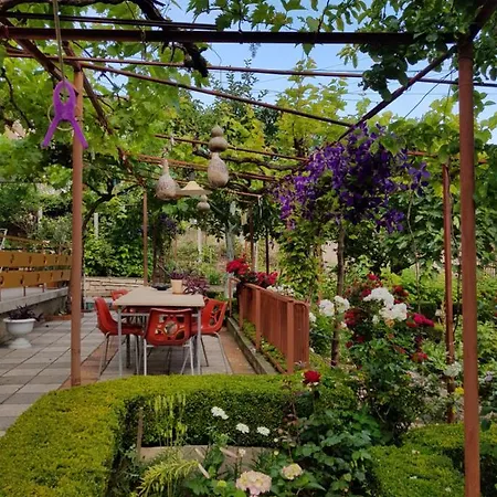 Вила Таня Guest house *